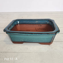 Load image into Gallery viewer, As-Is Pots Batch June 2023 (13 items)