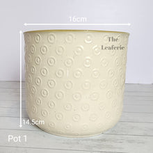 Load image into Gallery viewer, As-Is Pots Batch June 2023 (13 items)