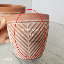 Load image into Gallery viewer, As-Is Pots Batch June 2023 (13 items)