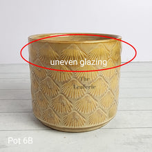 Load image into Gallery viewer, As-Is Pots Batch June 2023 (13 items)