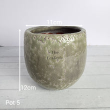 Load image into Gallery viewer, As-Is Pots Batch June 2023 (13 items)
