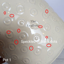 Load image into Gallery viewer, As-Is Pots Batch June 2023 (13 items)