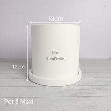 Load image into Gallery viewer, As-Is Pots Batch June 2023 (13 items)