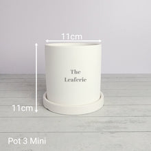 Load image into Gallery viewer, As-Is Pots Batch June 2023 (13 items)