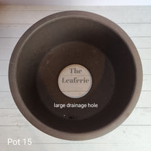 Load image into Gallery viewer, As-Is Pots Batch July 2023 (16 items)