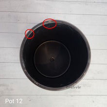 Load image into Gallery viewer, As-Is Pots Batch July 2023 (16 items)