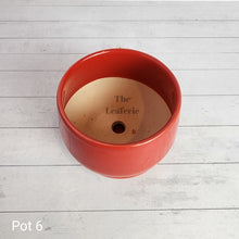 Load image into Gallery viewer, As-Is Pots Batch July 2023 (16 items)