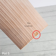 Load image into Gallery viewer, As-Is Pots Batch July 2023 (16 items)