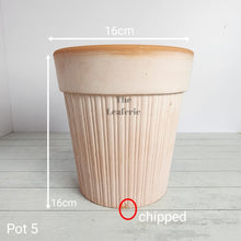 Load image into Gallery viewer, As-Is Pots Batch July 2023 (16 items)