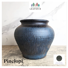 Load image into Gallery viewer, Pinelopi Flowerpot