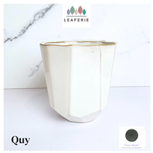Load image into Gallery viewer, Quy Flowerpot