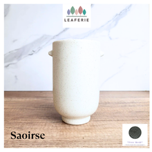 Load image into Gallery viewer, Saoirse Flowerpot