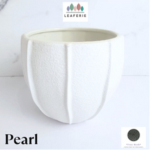 Load image into Gallery viewer, Pearl Flowerpot