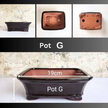 Load image into Gallery viewer, Bonsai Tally Flowerpot (Series 3)