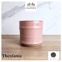 Load image into Gallery viewer, Theofania Flowerpot