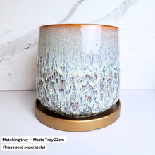Load image into Gallery viewer, The Leaferie Toro Flowerpot . Ceramic Material