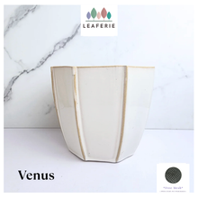 Load image into Gallery viewer, Venus Flowerpot