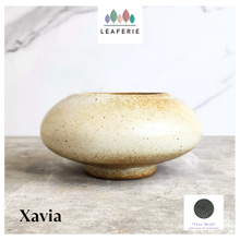 Load image into Gallery viewer, Xavia Flowerpot