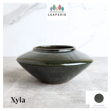 Load image into Gallery viewer, Xyla Flowerpot