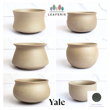 Load image into Gallery viewer, Yale Flowerpot (6 designs)