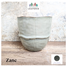 Load image into Gallery viewer, Zane Flowerpot (3 sizes)
