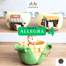 Load image into Gallery viewer, Petit Allegra Flowerpots (Series 4)