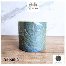 Load image into Gallery viewer, Aspasia Flowerpot