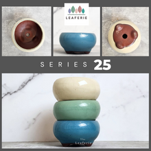 Load image into Gallery viewer, The Leaferie Bonsai tray series 25. 3 colours and 2 sizes. front photo