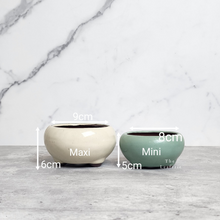 Load image into Gallery viewer, The Leaferie Bonsai tray series 25. 3 colours and 2 sizes. front photo of 2 sizes
