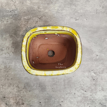 Load image into Gallery viewer, The Leaferie Bonsai Pot series 24. 5 colour rectangular zisha tray. top view