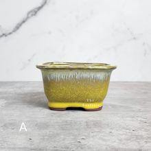 Load image into Gallery viewer, The Leaferie Bonsai Pot series 24. 5 colour rectangular zisha tray. front view of Design A
