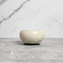 Load image into Gallery viewer, The Leaferie Bonsai tray series 25. 3 colours and 2 sizes. Front view of Pot A