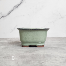 Load image into Gallery viewer, The Leaferie Bonsai Pot series 24. 5 colour rectangular zisha tray. front view of Design C