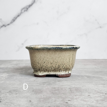 Load image into Gallery viewer, The Leaferie Bonsai Pot series 24. 5 colour rectangular zisha tray. front view of Design D
