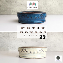 Load image into Gallery viewer, Petit Bonsai Flowerpot (Series 29)