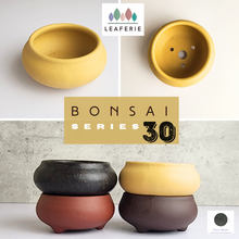 Load image into Gallery viewer, Bonsai Flowerpot (Series 30)