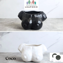 Load image into Gallery viewer, Coco Flowerpot
