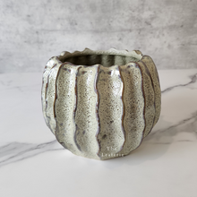 Load image into Gallery viewer, The Leaferie Haruka plant pot. ceramic . front view