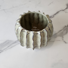 Load image into Gallery viewer, The Leaferie Haruka plant pot. ceramic . front view