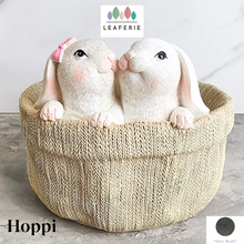 Load image into Gallery viewer, Hoppi Rabbit Flowerpot