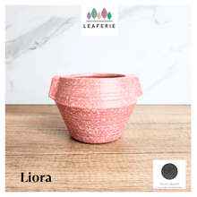 Load image into Gallery viewer, Liora Flowerpot