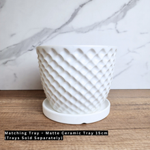 Load image into Gallery viewer, The Leaferie Maeve white ceramic pot