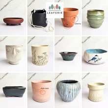 Load image into Gallery viewer, The Leaferie As-Is April 2024 flowerpots