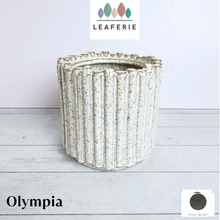 Load image into Gallery viewer, Olympia Flowerpot (2 designs)