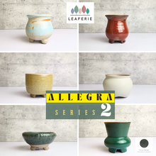Load image into Gallery viewer, Petit Allegra Flowerpots (Series 2)