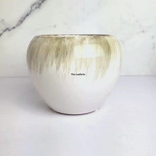 Load and play video in Gallery viewer, Hanae Flowerpot
