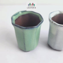 Load and play video in Gallery viewer, Petit Bonsai Pot (Series 7)