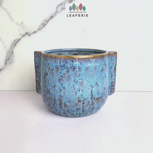 Load and play video in Gallery viewer, Etain Flowerpot