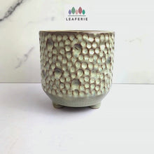 Load and play video in Gallery viewer, The Leaferie Terra crate ceramic pot with legs