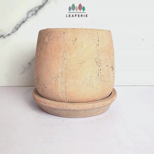 Load and play video in Gallery viewer, Tillie Flowerpot